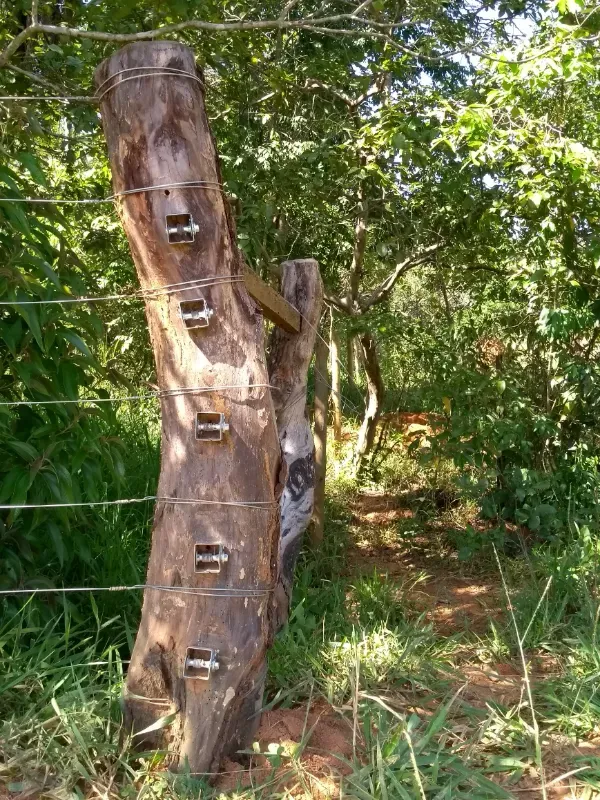 Fazenda em Biquinhas/Minas Gerais — Ref UIPT4F — Imagem 27