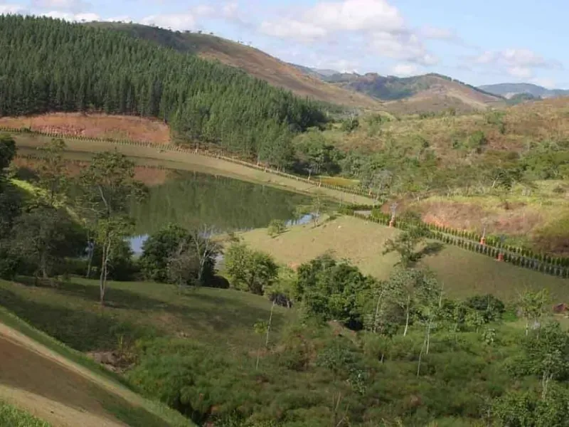 Fazenda em São João Nepomuceno/Minas Gerais — Ref PY9CXQ — Imagem 21