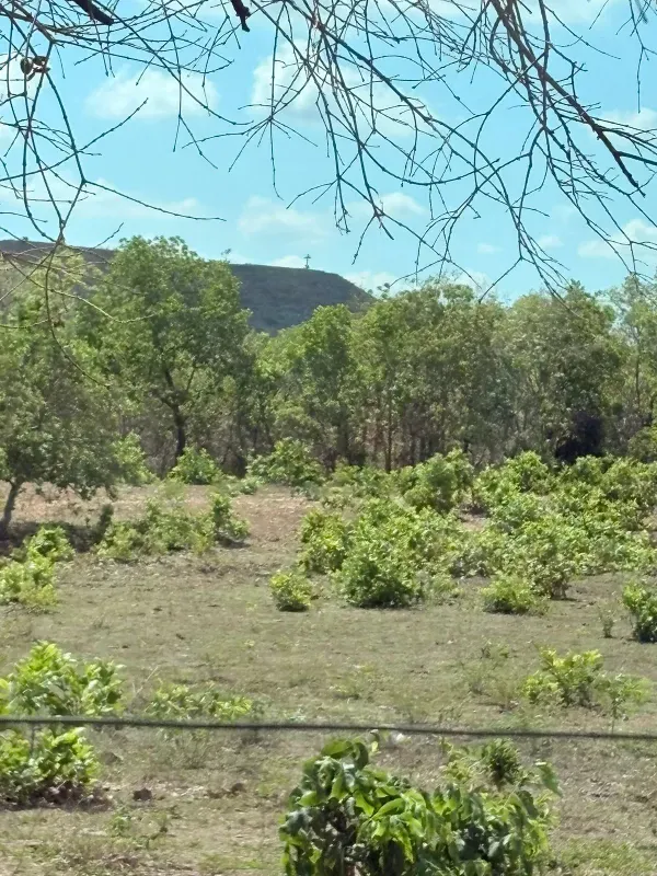 Fazenda em Nossa Senhora do Livramento/Mato Grosso — Ref RRHJJU — Imagem 9