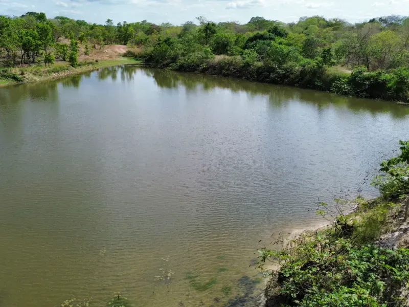 Fazenda em Nossa Senhora do Livramento/Mato Grosso — Ref RRHJJU — Imagem 3