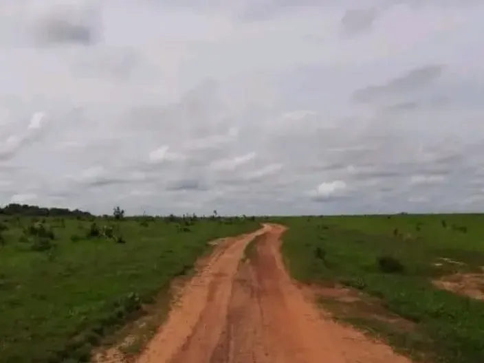 Fazenda em Peixe/Tocantins — Ref VZLZD8 — Imagem 8