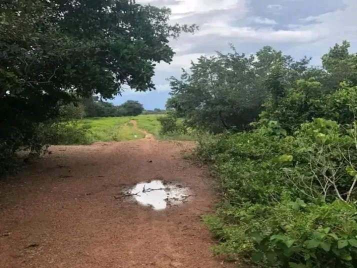 Fazenda em Peixe/Tocantins — Ref VZLZD8 — Imagem 10