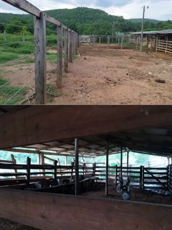 Fazenda em Porto Nacional/Tocantins — Ref 9U61HL — Imagem 3