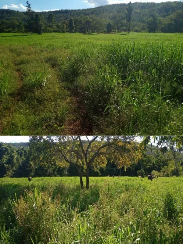 Fazenda em Porto Nacional/Tocantins — Ref 9U61HL — Imagem 9