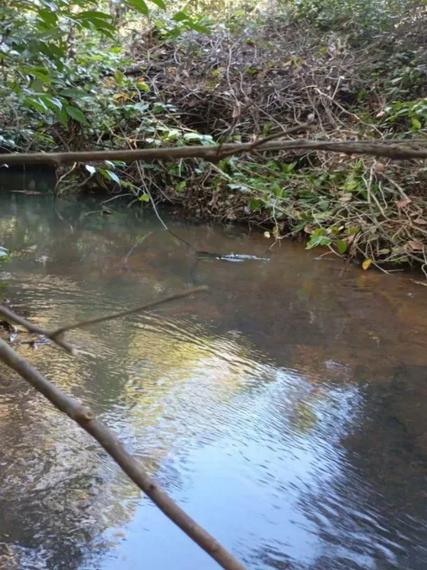 Fazenda em Porto Nacional/Tocantins — Ref 9U61HL — Imagem 10