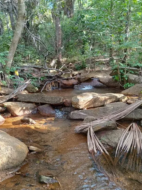 Fazenda em Porto Nacional/Tocantins — Ref 9U61HL — Imagem 12