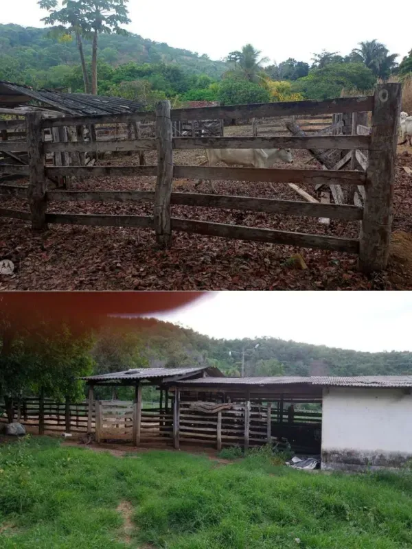 Fazenda em Porto Nacional/Tocantins — Ref 9U61HL — Imagem 14
