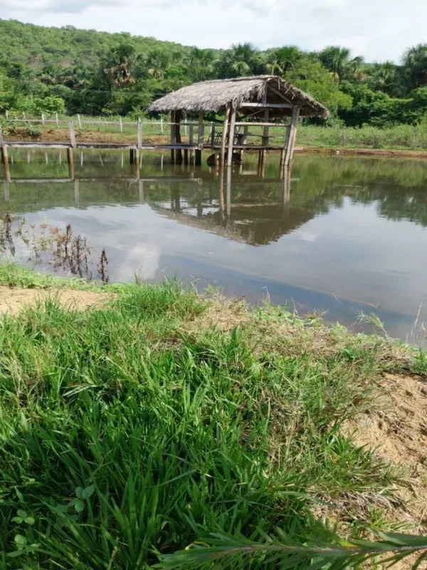 Fazenda em Porto Nacional/Tocantins — Ref 9U61HL — Imagem 18