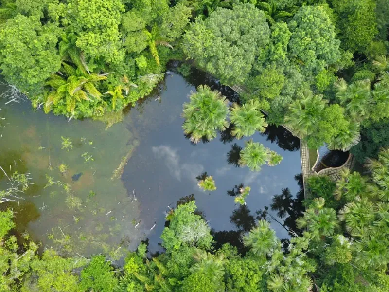 Sítio em Governador Edison Lobão/Maranhão — Ref 3EAIGK — Imagem 4