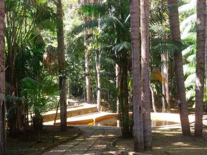 Sítio em Governador Edison Lobão/Maranhão — Ref 3EAIGK — Imagem 7