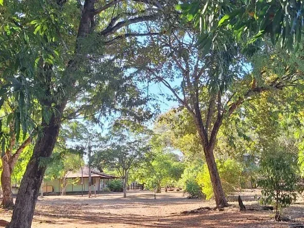 Sítio em Governador Edison Lobão/Maranhão — Ref 3EAIGK — Imagem 19