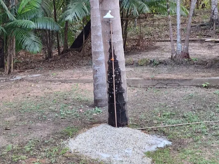 Sítio em Governador Edison Lobão/Maranhão — Ref 3EAIGK — Imagem 11