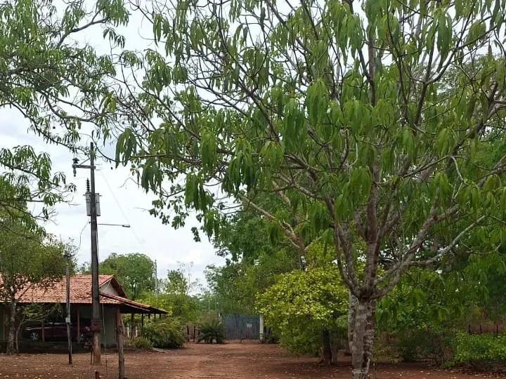 Sítio em Governador Edison Lobão/Maranhão — Ref 3EAIGK — Imagem 21