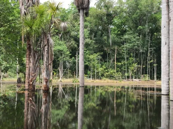 Sítio em Governador Edison Lobão/Maranhão — Ref 3EAIGK — Imagem 2
