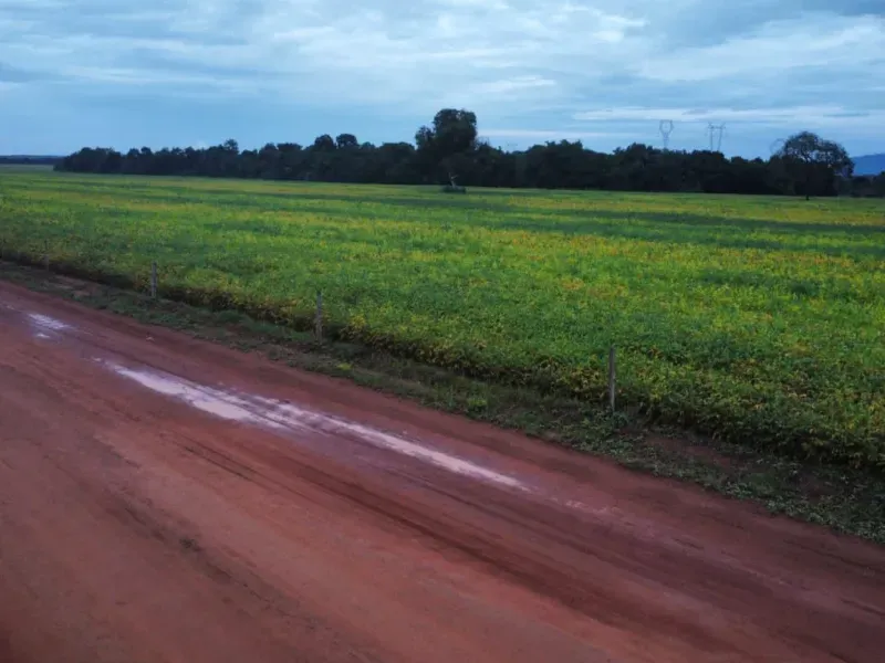 Fazenda em Santa Rita do Tocantins/Tocantins — Ref B8M549 — Imagem 2