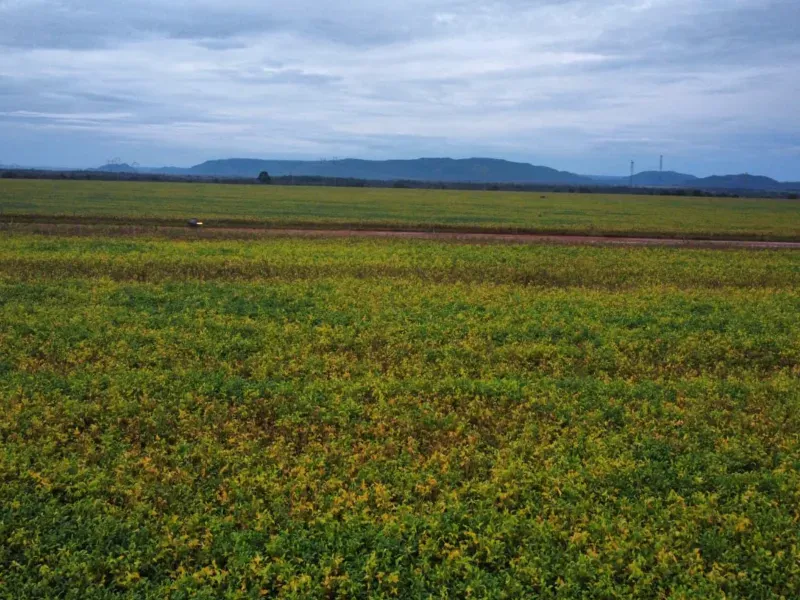 Fazenda em Santa Rita do Tocantins/Tocantins — Ref B8M549 — Imagem 3