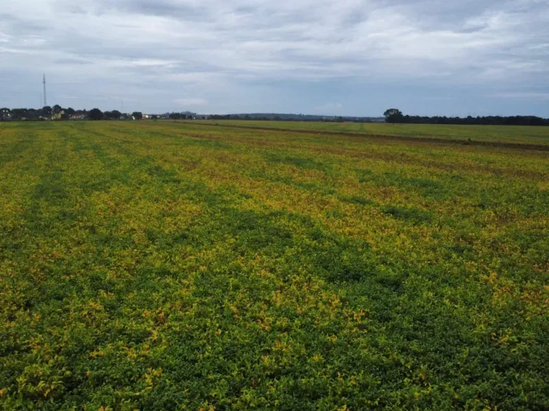 Fazenda em Santa Rita do Tocantins/Tocantins — Ref B8M549 — Imagem 4