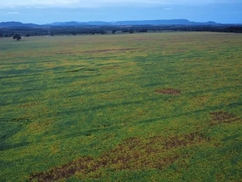 Fazenda em Santa Rita do Tocantins/Tocantins — Ref B8M549 — Imagem 9
