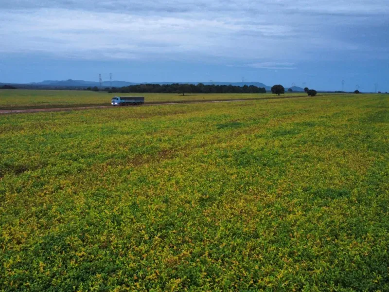 Fazenda em Santa Rita do Tocantins/Tocantins — Ref B8M549 — Imagem 10