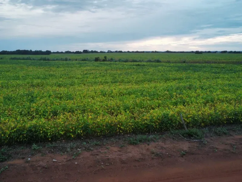 Fazenda em Santa Rita do Tocantins/Tocantins — Ref B8M549 — Imagem 13