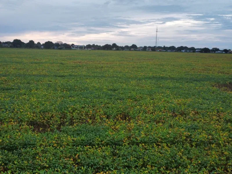 Fazenda em Santa Rita do Tocantins/Tocantins — Ref B8M549 — Imagem 15