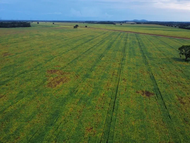 Fazenda em Santa Rita do Tocantins/Tocantins — Ref B8M549 — Imagem 16