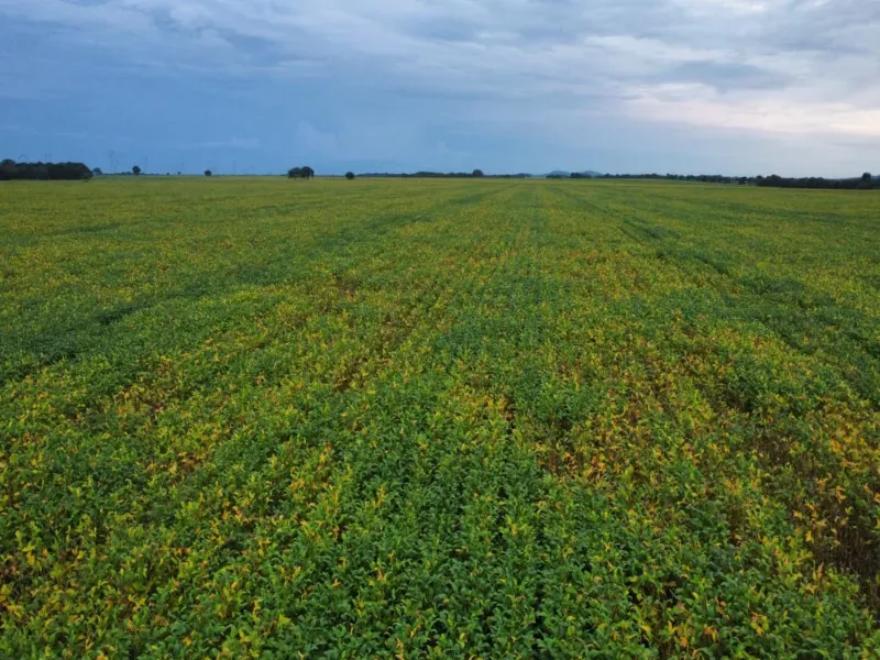 Fazenda em Santa Rita do Tocantins/Tocantins — Ref B8M549 — Imagem 17