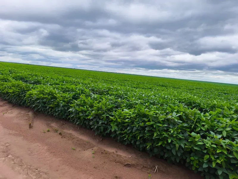 Fazenda em Santa Rita do Tocantins/Tocantins — Ref B8M549 — Imagem 18