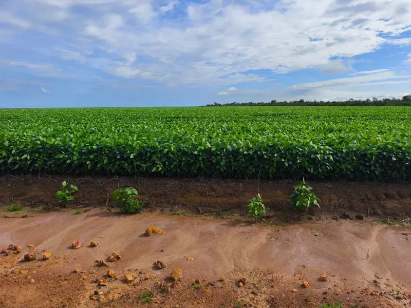 Fazenda em Santa Rita do Tocantins/Tocantins — Ref B8M549 — Imagem 19