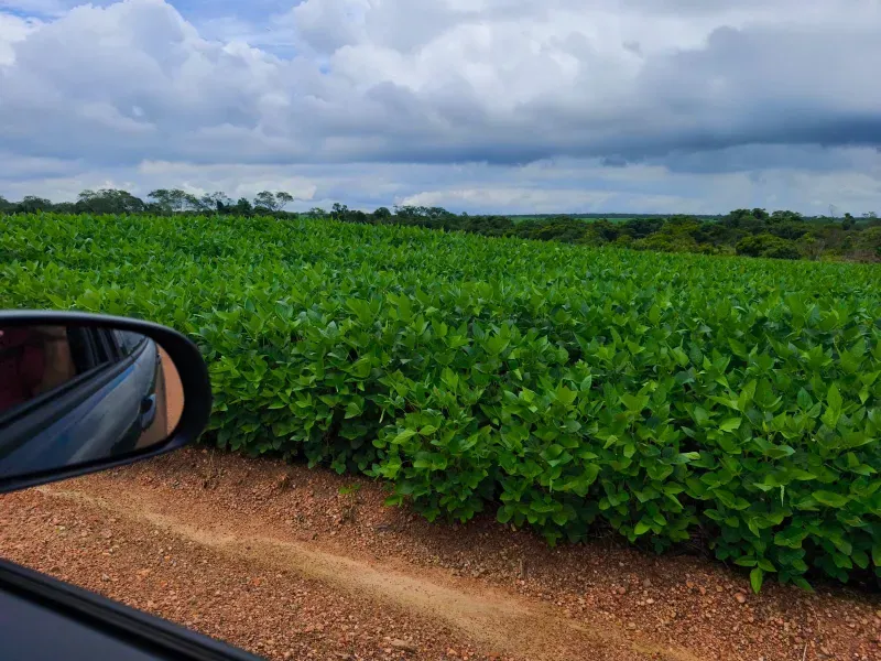 Fazenda em Santa Rita do Tocantins/Tocantins — Ref B8M549 — Imagem 21