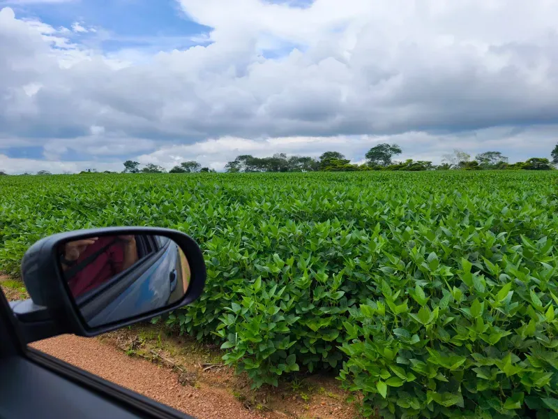 Fazenda em Santa Rita do Tocantins/Tocantins — Ref B8M549 — Imagem 22