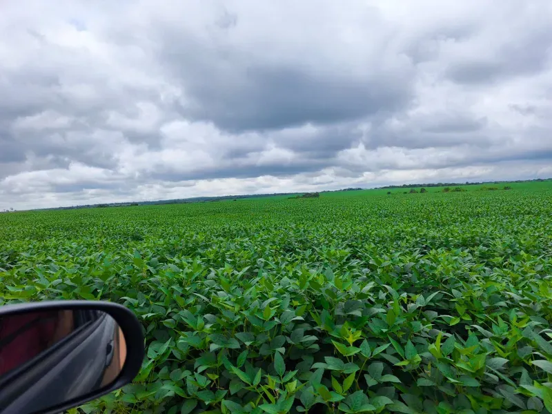 Fazenda em Santa Rita do Tocantins/Tocantins — Ref B8M549 — Imagem 23