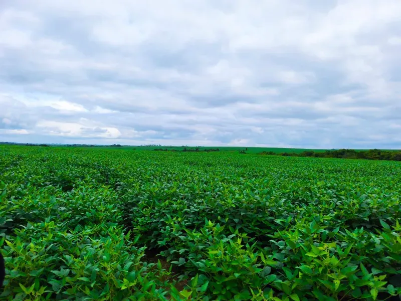 Fazenda em Santa Rita do Tocantins/Tocantins — Ref B8M549 — Imagem 24