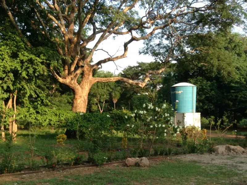 Sítio em Governador Edison Lobão/Maranhão — Ref KM7NN6 — Imagem 15