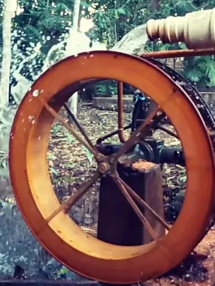 Sítio em Governador Edison Lobão/Maranhão — Ref KM7NN6 — Imagem 5