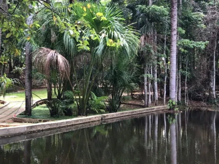 Sítio em Governador Edison Lobão/Maranhão — Ref KM7NN6 — Imagem 6