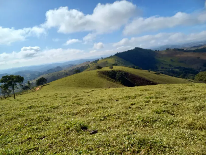 Fazenda em Soledade de Minas/Minas Gerais — Ref P8KSNC — Imagem 3