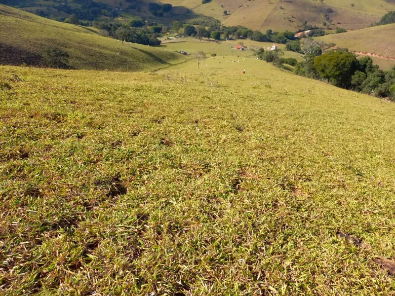 Fazenda em Soledade de Minas/Minas Gerais — Ref P8KSNC — Imagem 20