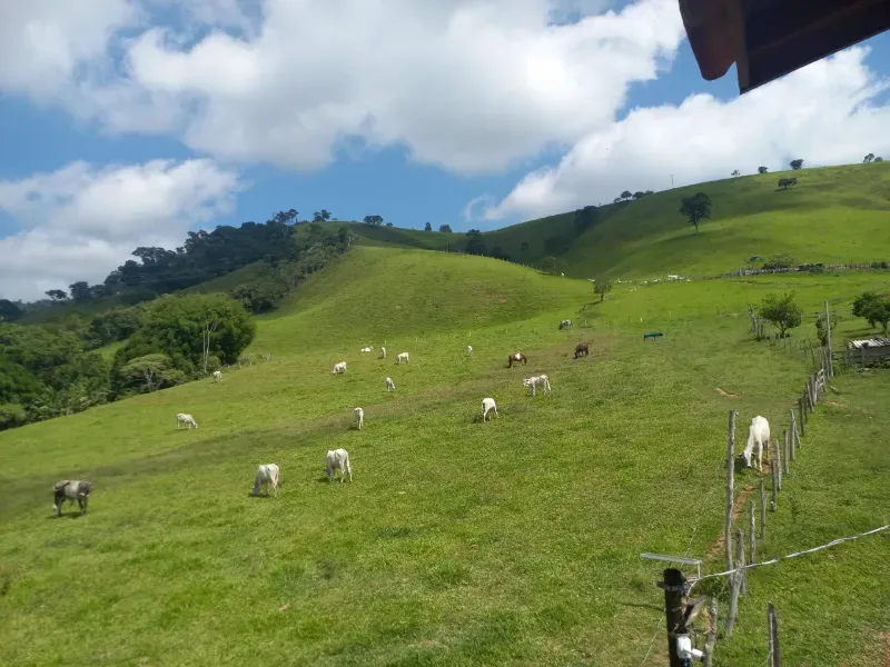 Fazenda em Soledade de Minas/Minas Gerais — Ref P8KSNC — Imagem 22