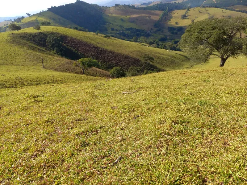 Fazenda em Soledade de Minas/Minas Gerais — Ref P8KSNC — Imagem 23