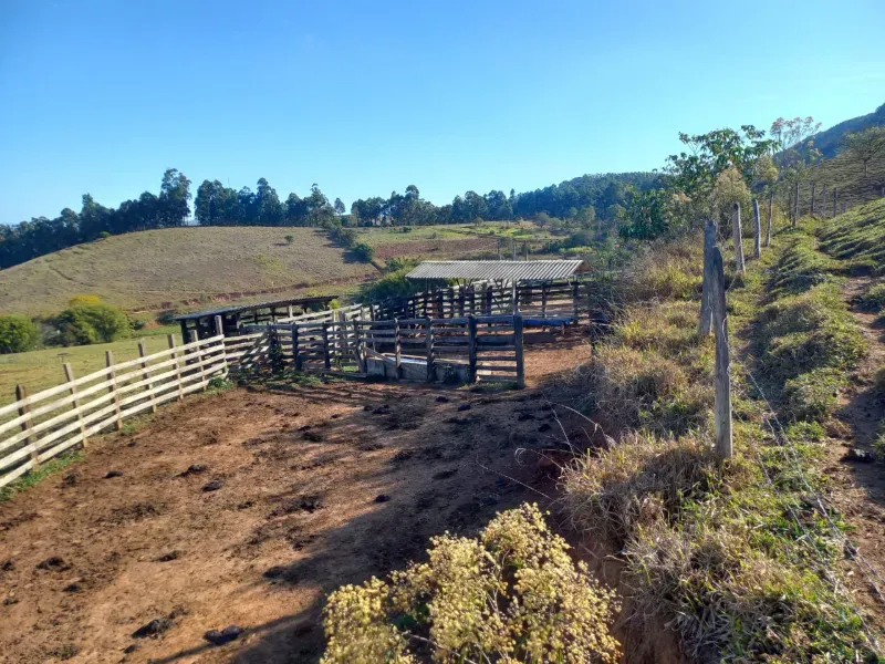 Fazenda em Soledade de Minas/Minas Gerais — Ref P8KSNC — Imagem 30