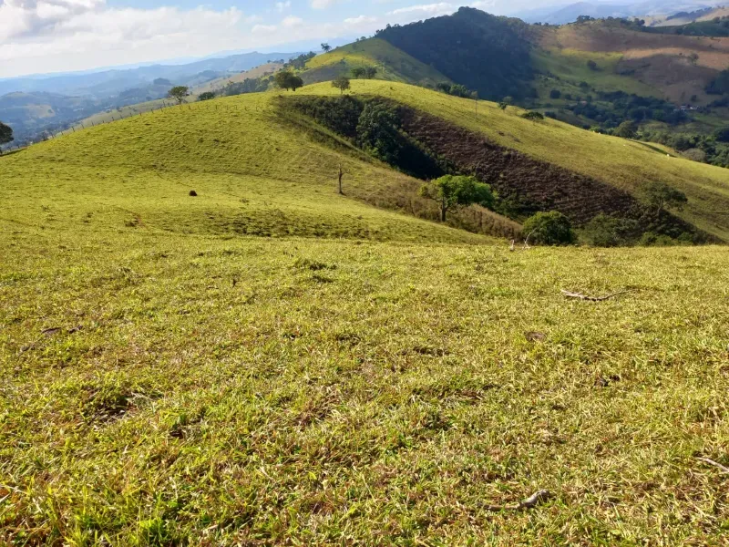 Fazenda em Soledade de Minas/Minas Gerais — Ref P8KSNC — Imagem 33