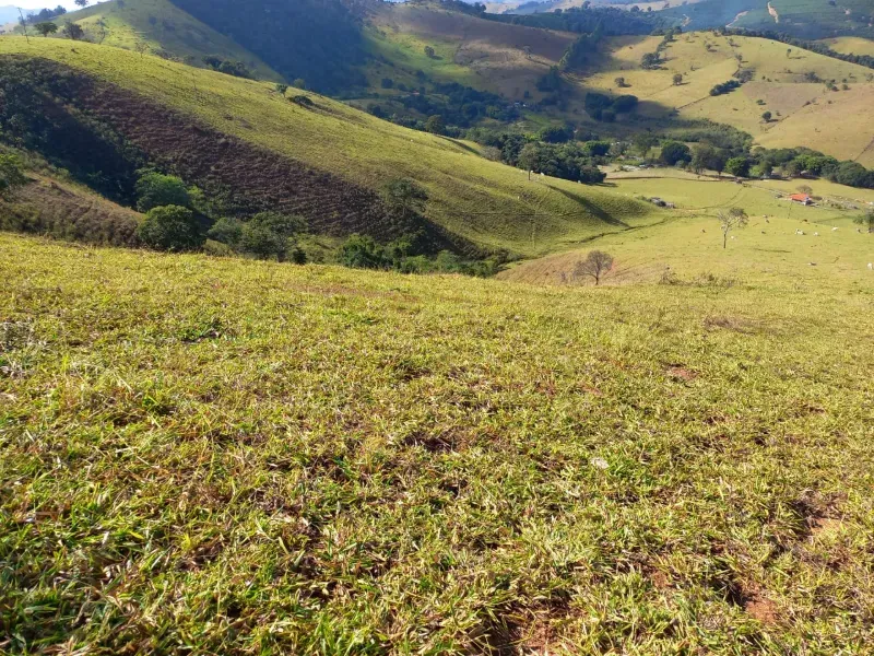 Fazenda em Soledade de Minas/Minas Gerais — Ref P8KSNC — Imagem 34