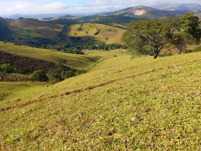 Fazenda em Soledade de Minas/Minas Gerais — Ref P8KSNC — Imagem 35