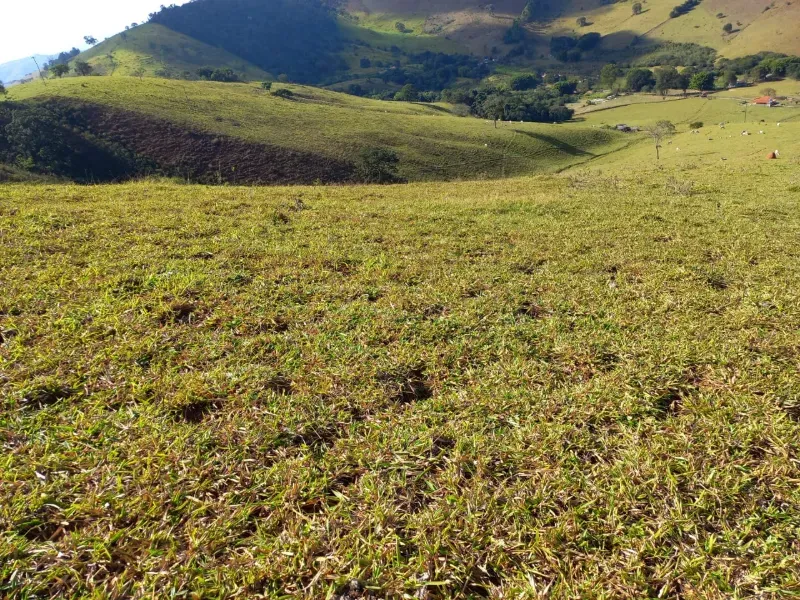 Fazenda em Soledade de Minas/Minas Gerais — Ref P8KSNC — Imagem 37