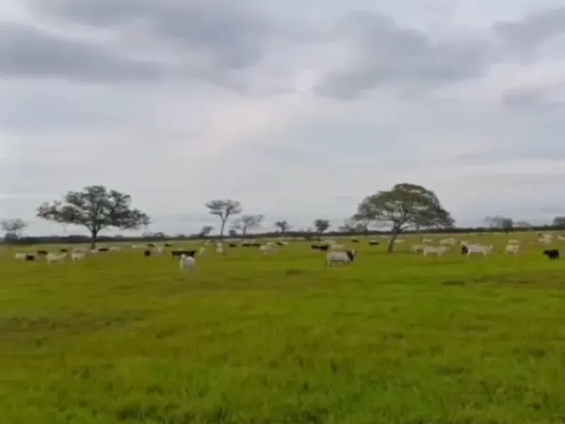 Fazenda em Cocalinho/Mato Grosso — Ref 7F9Q74 — Imagem 7