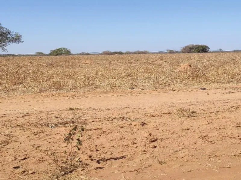 Fazenda em Cocalinho/Mato Grosso — Ref 7F9Q74 — Imagem 2
