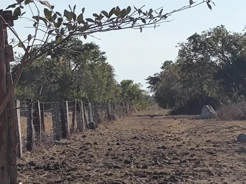 Fazenda em Cocalinho/Mato Grosso — Ref 7F9Q74 — Imagem 12