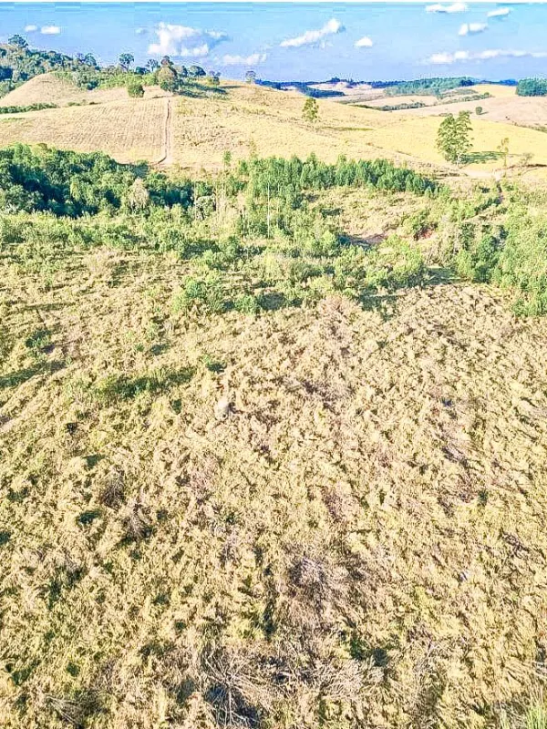 Sítio em Jacuí/Minas Gerais — Ref 74VQF4 — Imagem 8