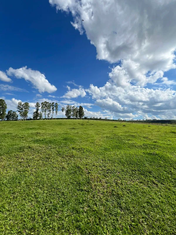 Sítio em São Sebastião do Paraíso/Minas Gerais — Ref IJYFE6 — Imagem 4